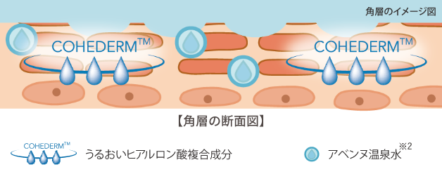 COHEDERM™️